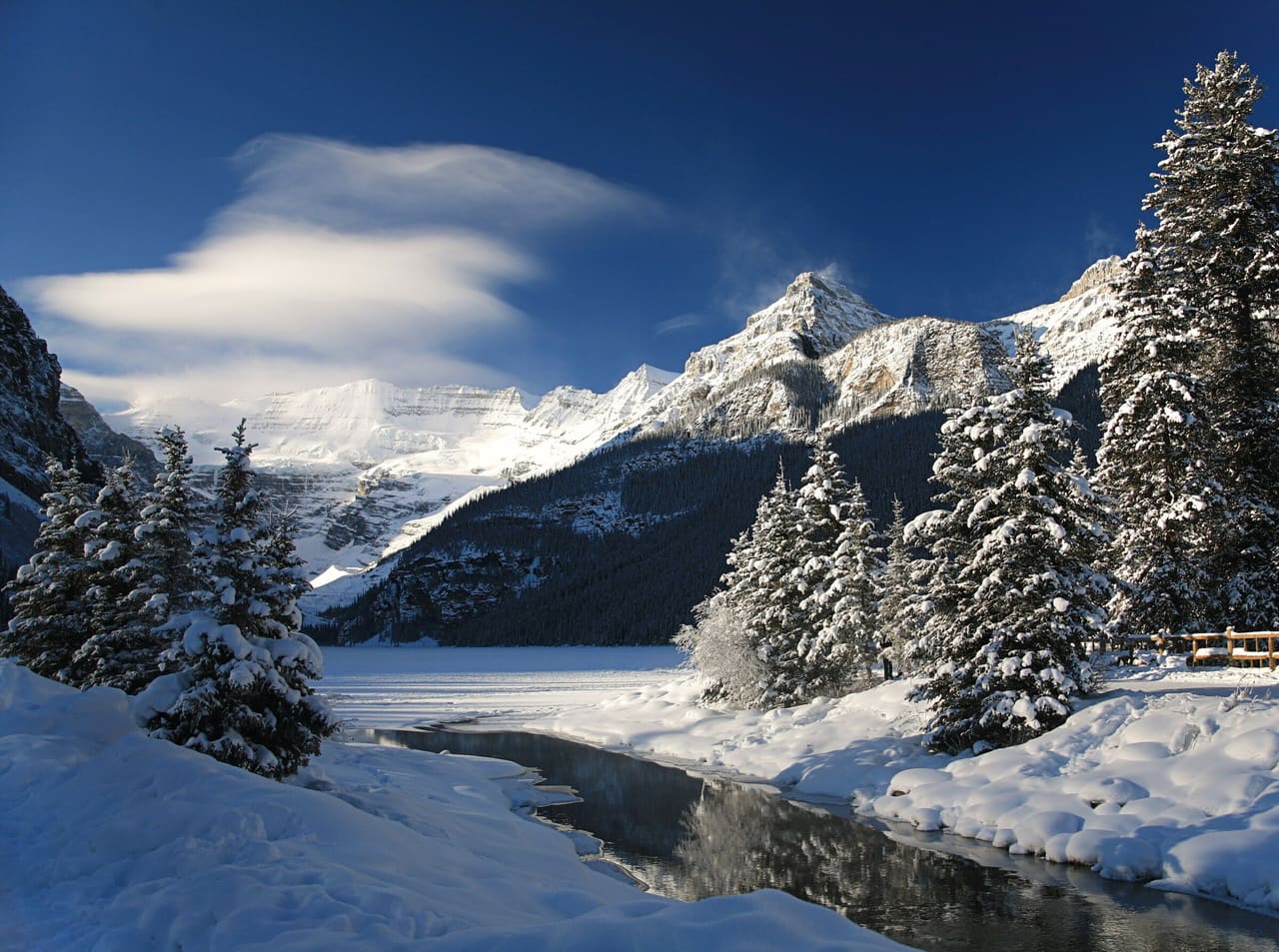 Lake Louise in winter, with snow-laden spruce along the frozen shore and a cloud sweeping over the Victoria Glacier.