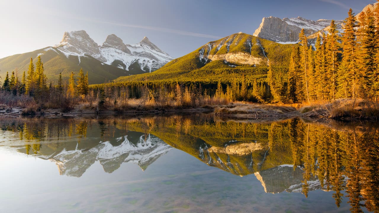 The snow-capped Three Sisters peaks above Canmore reflected in the still water of Policeman Creek, with spruce trees lit gold by low autumn sun.